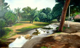 JARDIN DEL TURIA - CHARCO EN LA PECHINA