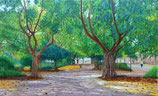 JARDIN DEL TURIA - CAPITANIA