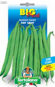 FAGIOLO nano Top Crop