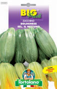 ZUCCHINO Bolognese sel. Il Nettuno