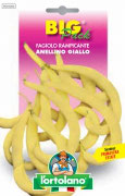 FAGIOLO rampicante Anellino Giallo