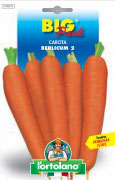 CAROTA Berlicum 2