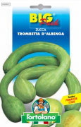 ZUCCA Trombetta d’Albenga