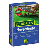 CONCIME EVERGREEN  RINVERDENTE KG 2