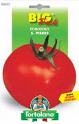 POMODORO S. Pierre