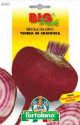 BIETOLA da orto Tonda di Chioggia