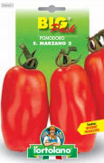 POMODORO S. Marzano 2