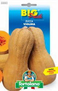 ZUCCA Violina