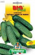 CETRIOLINO Piccolo verde di Parigi