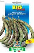 FAGIOLO nano Anellino di Trento