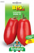 POMODORO Roma VF