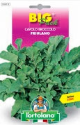 CAVOLO Broccolo Friulano
