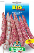 FAGIOLO nano Ciclope