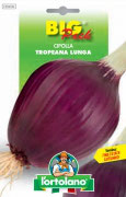 CIPOLLA Tropeana lunga