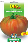 POMODORO Pantano Romanesco