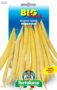 FAGIOLO nano Berggold