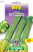 ZUCCHINO Lungo Fiorentino sel. Il Magnifico