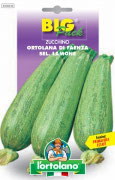 ZUCCHINO Ortolana di Faenza sel. Lamone