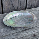 Abalone Räucherschale