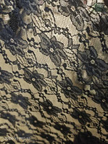 tissu dentelle marguerite marine