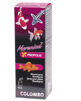 Propolis