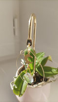 Bijou d'intérieur CHRISTY
