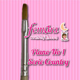 PINCEL PLANO No 1