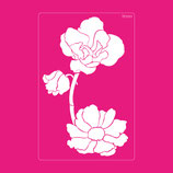 2030-158 AMAPOLAS