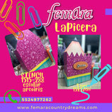 LAPICERA LAPIZ DIVISIONES