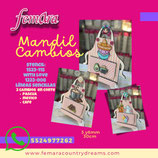 MANDIL CAMBIOS