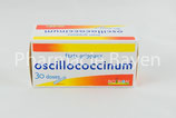 OSCILLOCOCCINUM