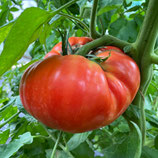 Marmande