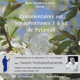 Commentaires Patanjali Aphorismes 1 à 12 - Swami Veetamohananda