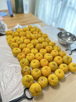 淵野辺MoriNoteにてゆず蒸留会