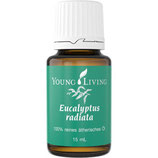 Eucalyptus Radiata - Eukalyptus Radiata Ätherisches Öl 5 ml