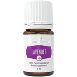 Lavender Plus - Lavendel Plus - 5 ml [RT]