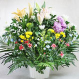 枕花