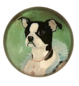 Briefbeschwerer Bostonterrier Madame