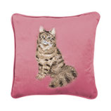 WD Kissen Feline Fabulous