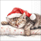 Servietten "Dreaming about Xmas" 33cm