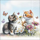 Servietten Kittens in flower field 33cm
