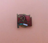 Pin P.C.I.