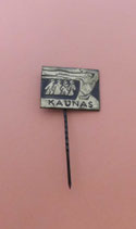 Anstecker Kaunas