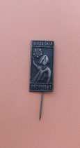 Anstecknadel Września