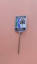 Anstecknadel 1206.