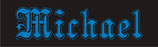 LED Namenschild 50x15 cm ( 006 )