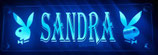 LED Namenschild 50x15 cm ( 030 )