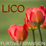 Lico 1st Single「Furtive Expansion」