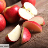 W481 - Pommes en tranches