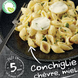 G343 - Conchiglie chèvre miel romarin